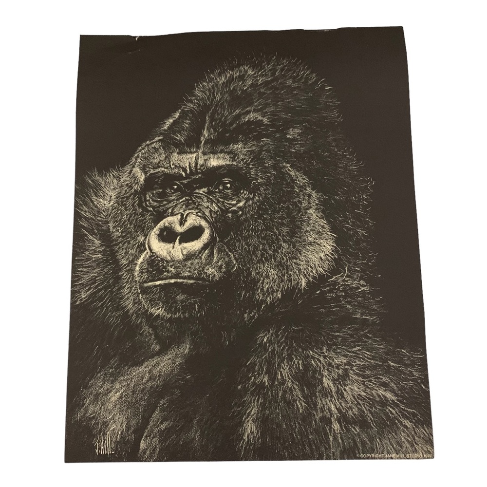 Signed Print By Jane Hill Gorilla Black & White Copyright 1977 Realistic 10” x 8
